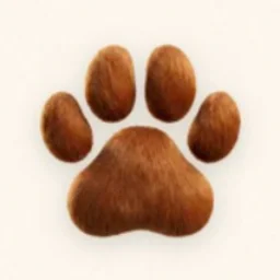 hello@tappy.dog