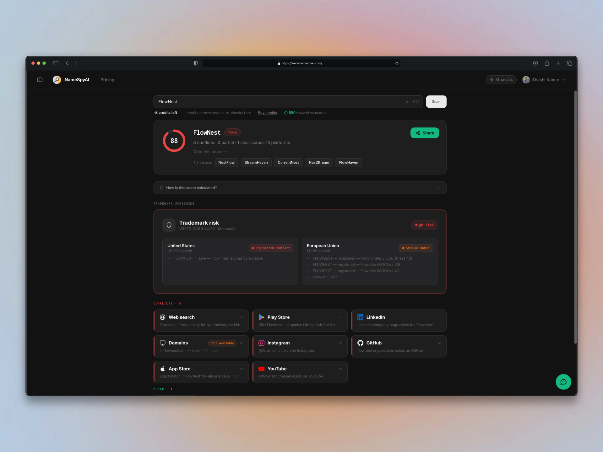 NameSpyAI screenshot 2