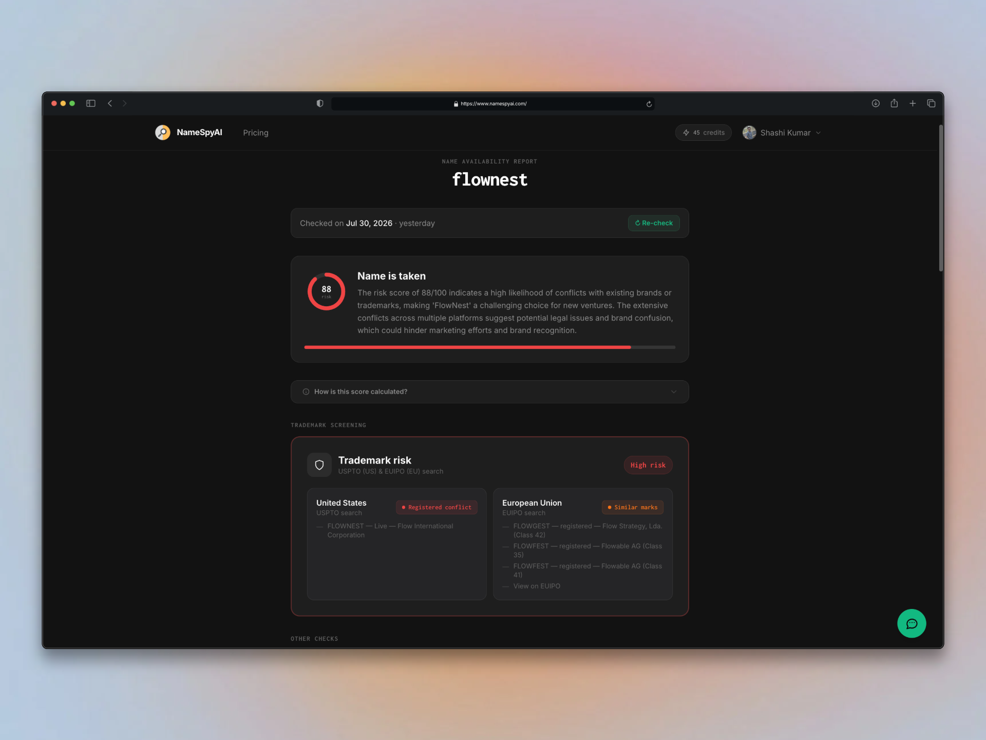 NameSpyAI screenshot 3