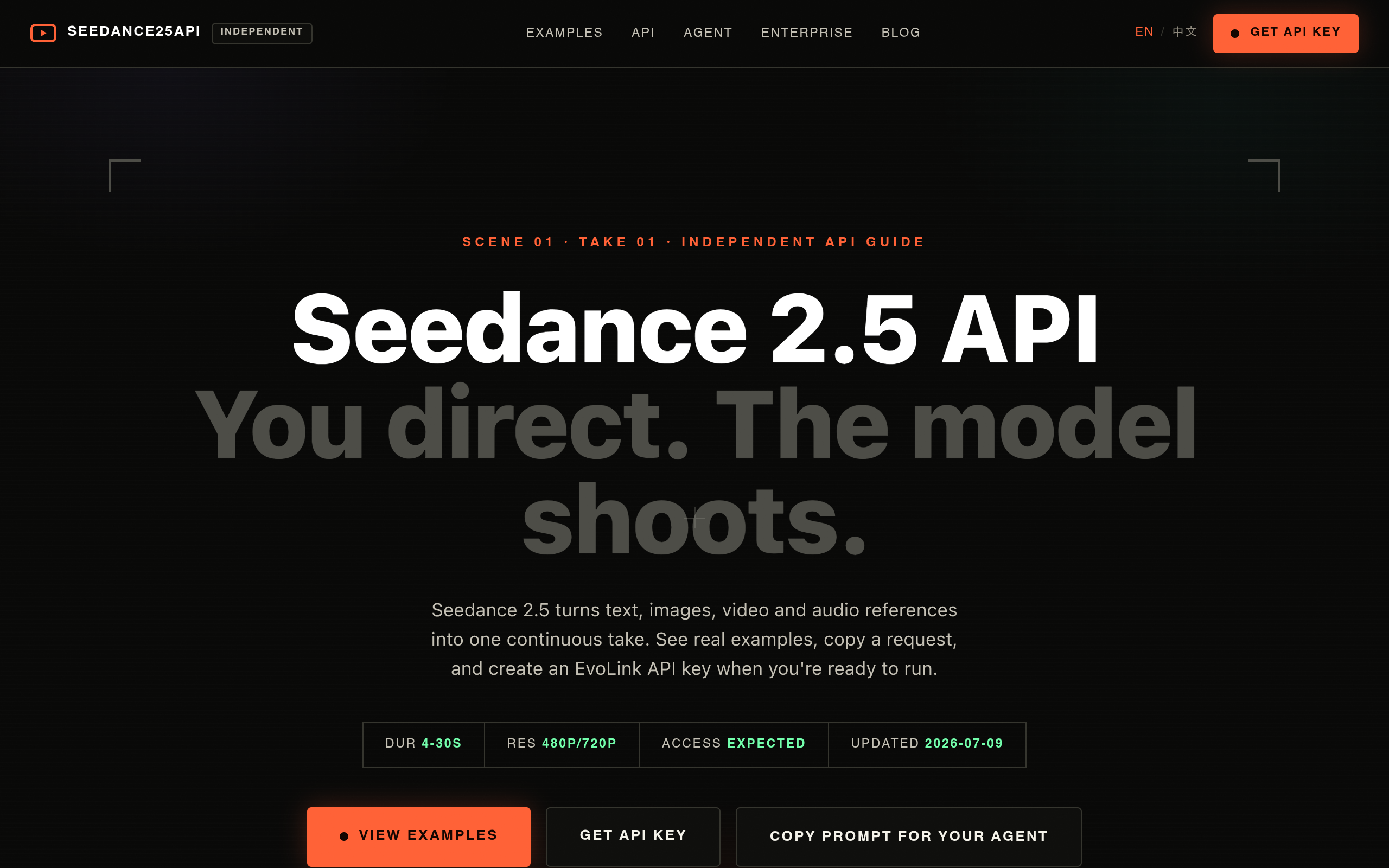 Seedance 2.5 API